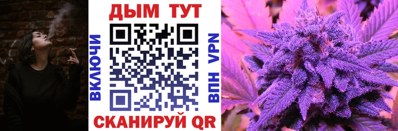 Бошки Шишки OG Kush  купить закладку  Слюдянка 